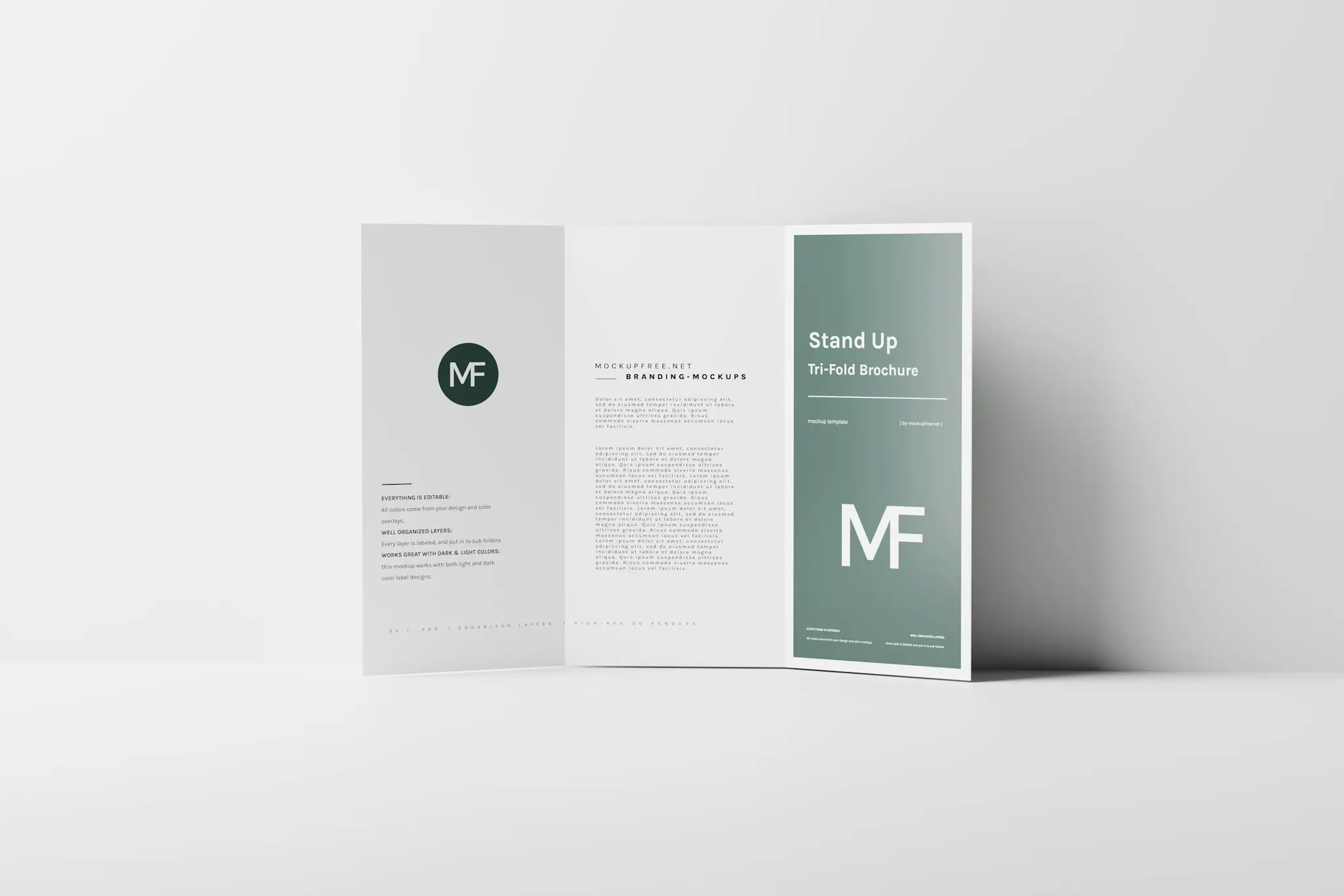 Tri-fold brochure standing open on a white surface