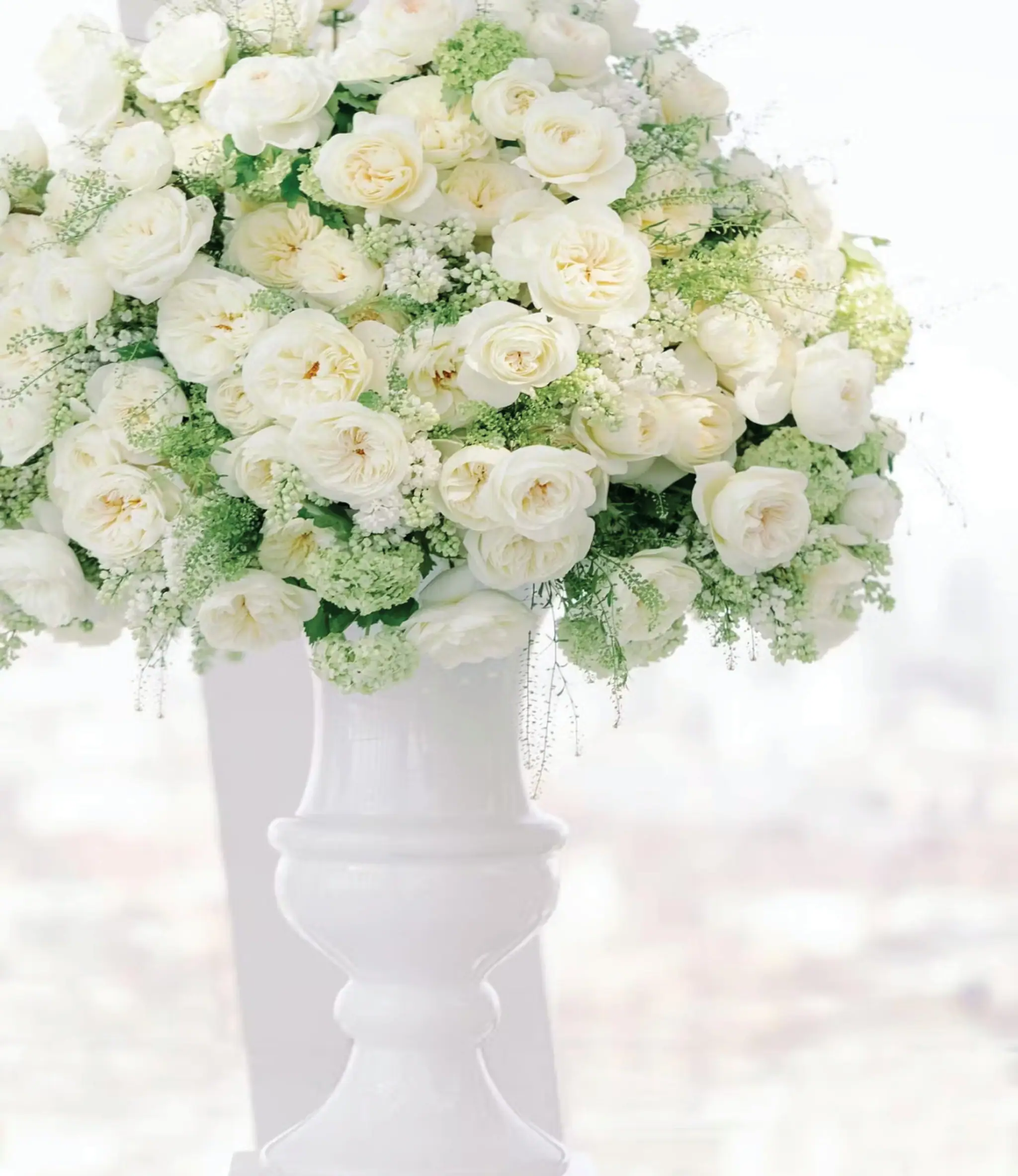 White rose arrangement in a tall white urn